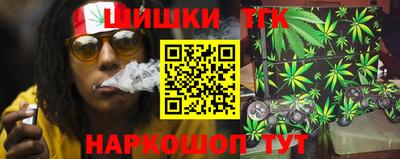 мдпв Гатчина