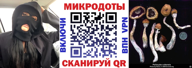 купить Балахна ОМГ ОМГ ТОР Псилоцибиновые грибы прущие грибы