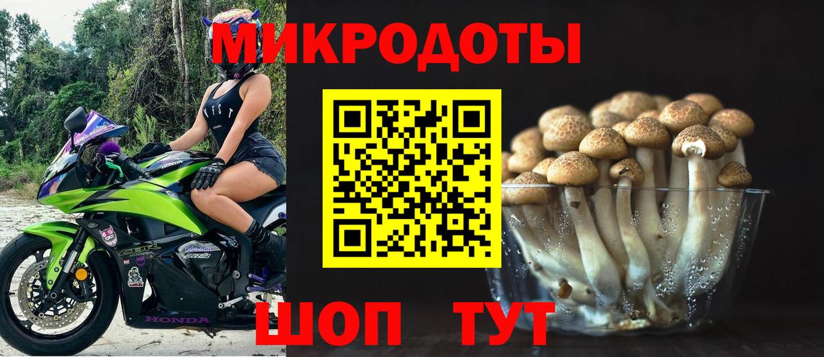 Псилоцибиновые грибы Cubensis Балахна